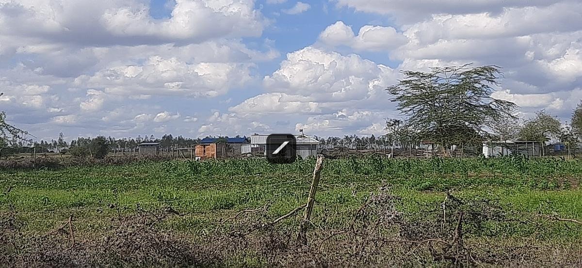 imgi_17_de9b773b-b293-42ca-a6b1-583bf6d9b660