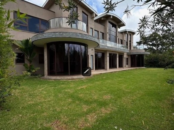 Imgi 18 11597723 bdc1 43f3 87c8 99a7fc563a6d