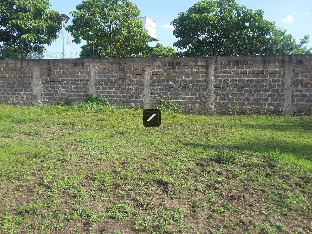 imgi_18_3f333f44-0a97-4974-a508-02a8fc69f944