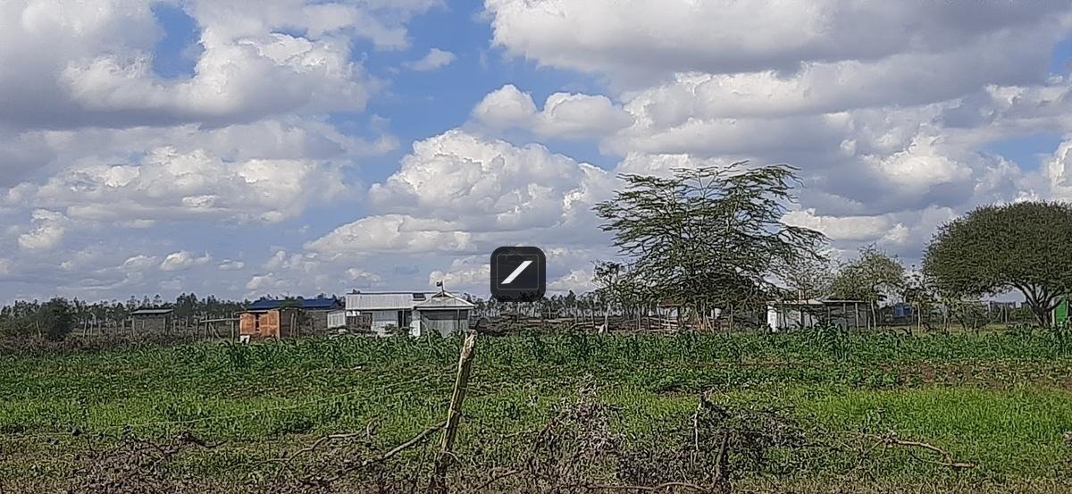 imgi_18_4de17a7d-844a-4b58-9702-c799dd68b247