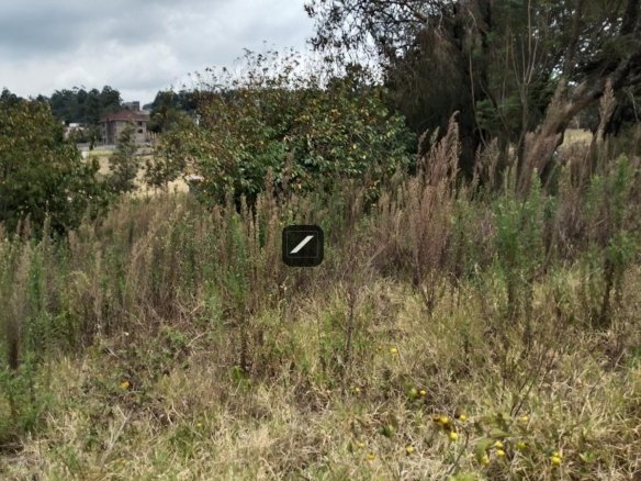 Imgi 18 5c25f464 8ec5 446f 8732 0317473e5b63