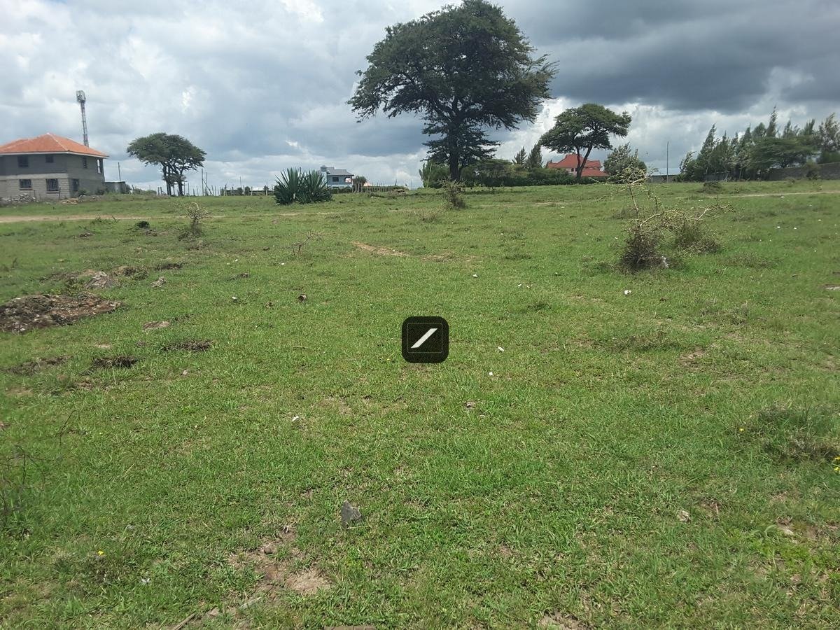 imgi_18_6c3a70b6-39c2-4359-838d-5a4239bf5c30