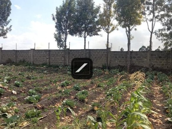 Imgi 18 87a51b15 5e55 44dd 948d 31e1b076db59