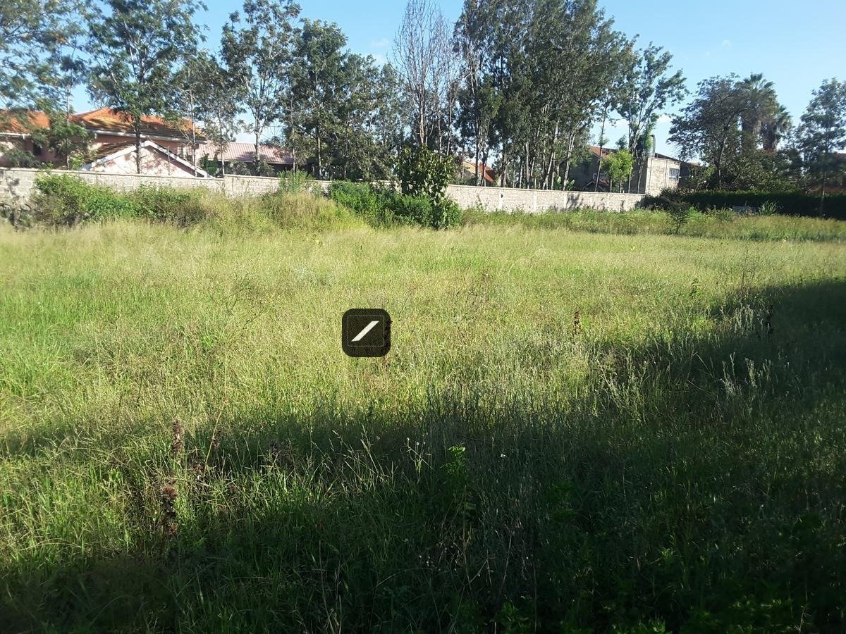 imgi_18_b33def67-b69b-421f-b2d6-b52f9af4e7bd