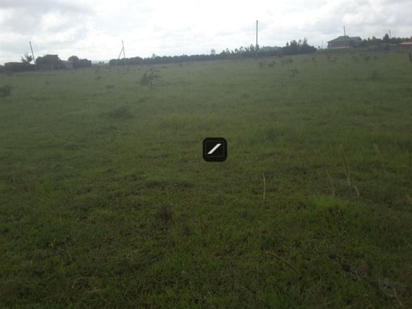 Imgi 18 efdc7f80 84bc 413b 9ceb da911e4edede