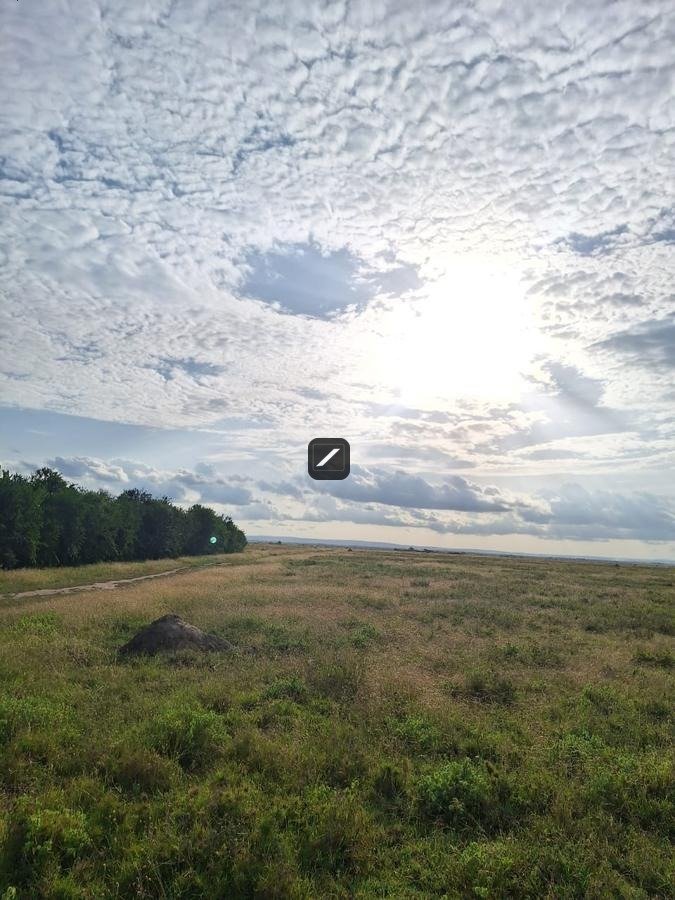 imgi_19_38b8066c-6796-4ef9-a19b-46c8406fdabd