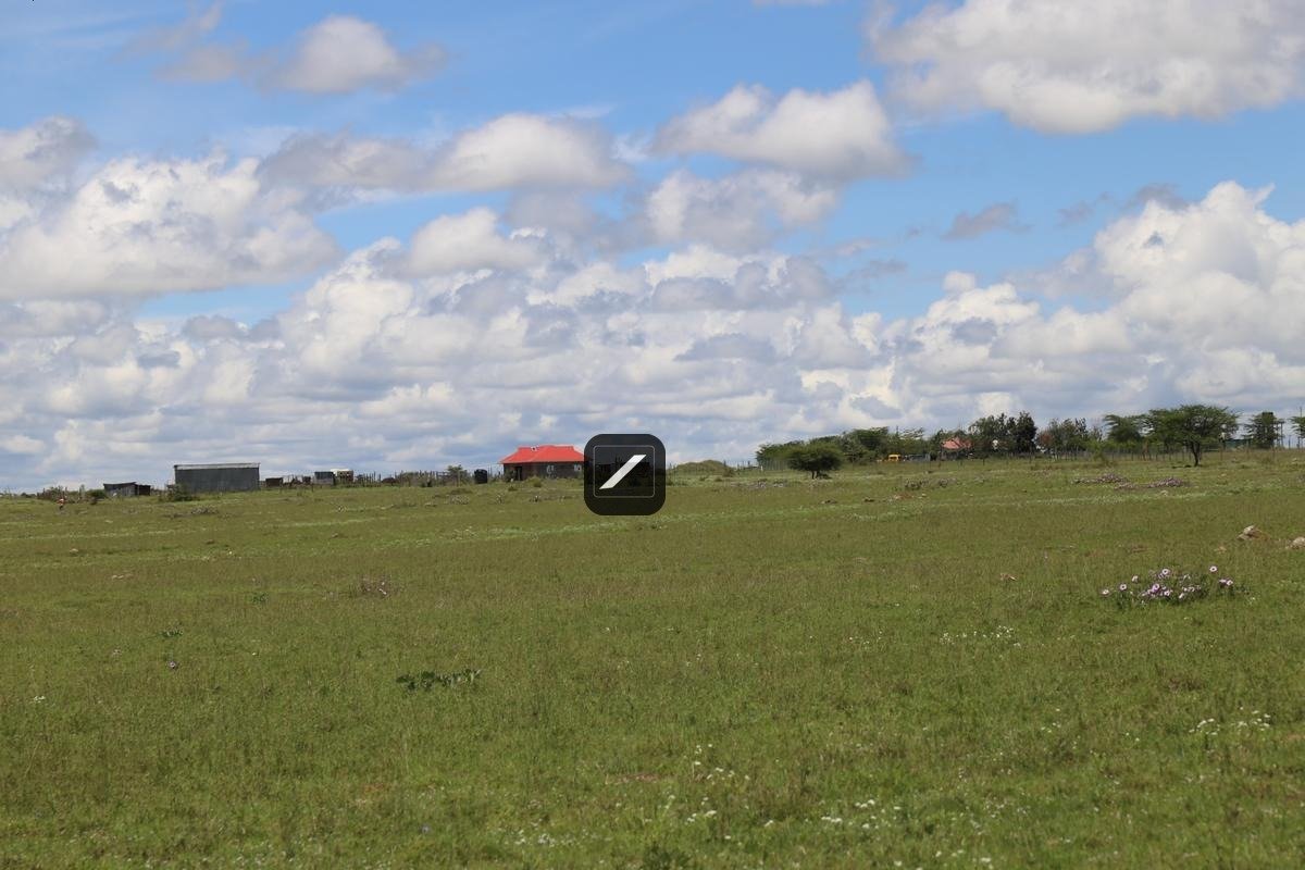 imgi_19_79c31af1-034f-4743-8500-dfc8e2e08dda