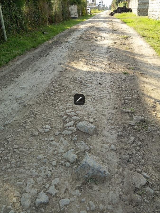 imgi_19_9dbb253e-9c6a-4ab6-9ee0-c0d31ea27463