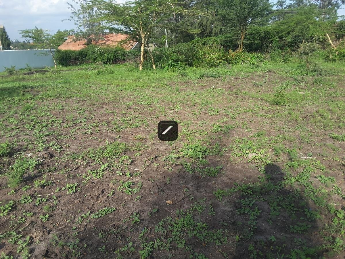 imgi_19_b6f56ba6-eb42-411d-95ac-e547c6e7afda