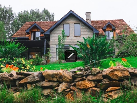 Imgi 19 c35910fa 2278 47e5 b2dd d5f5ed604452