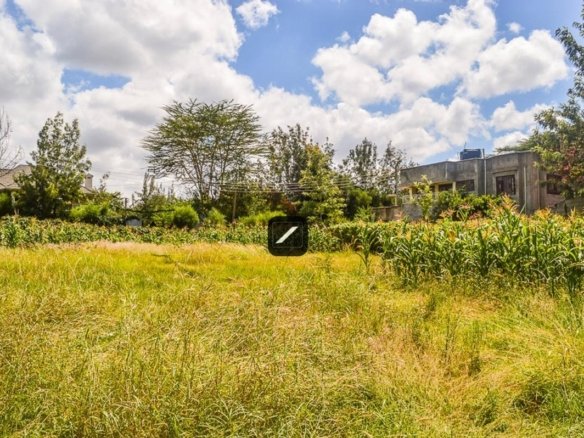 Imgi 19 d009eaa6 3bde 4f94 bf42 9dba4dc870f3