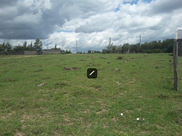 Imgi 19 d0d2d647 35e9 4830 8e93 ff1ef619da45