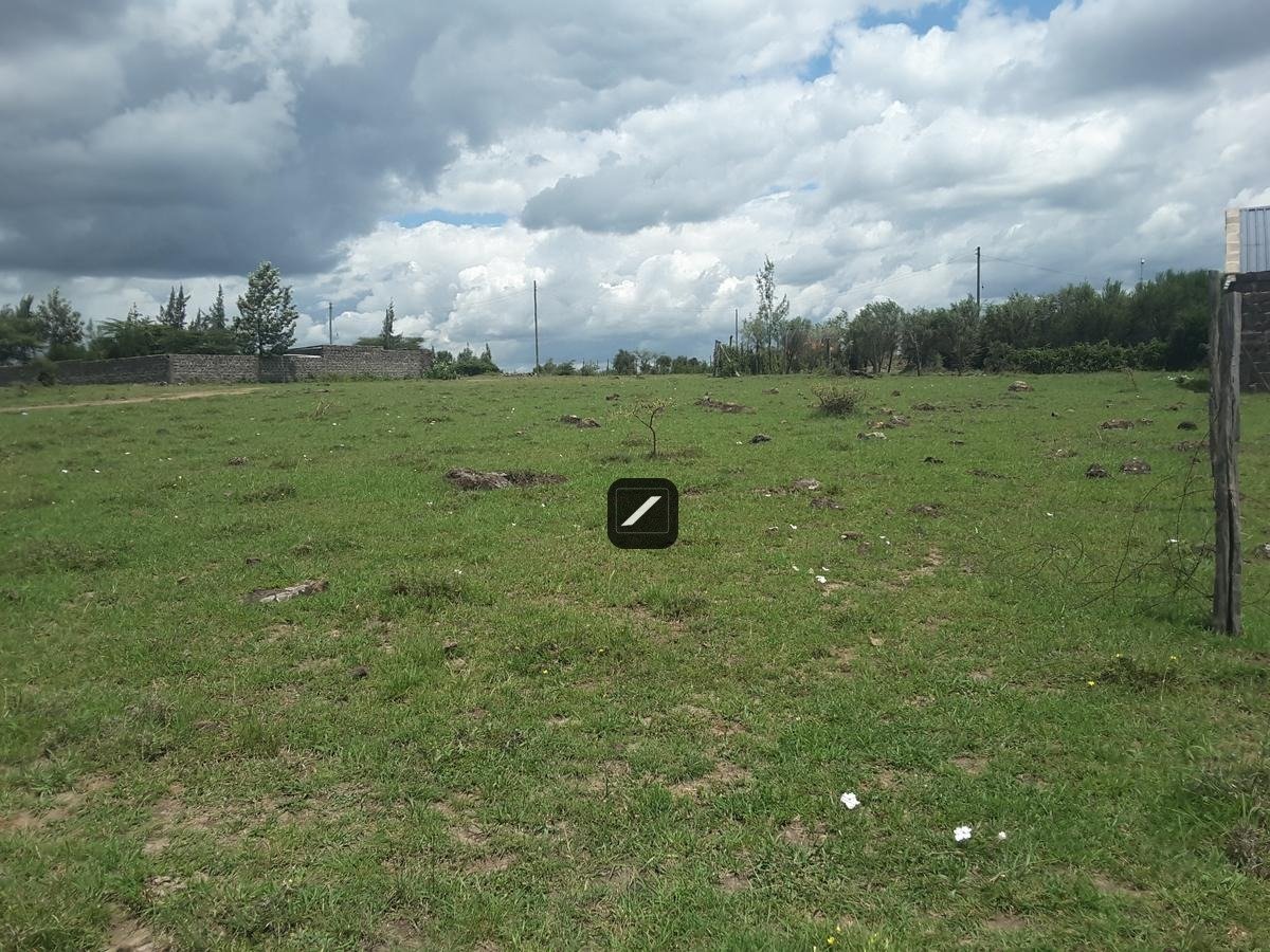 imgi_19_d0d2d647-35e9-4830-8e93-ff1ef619da45