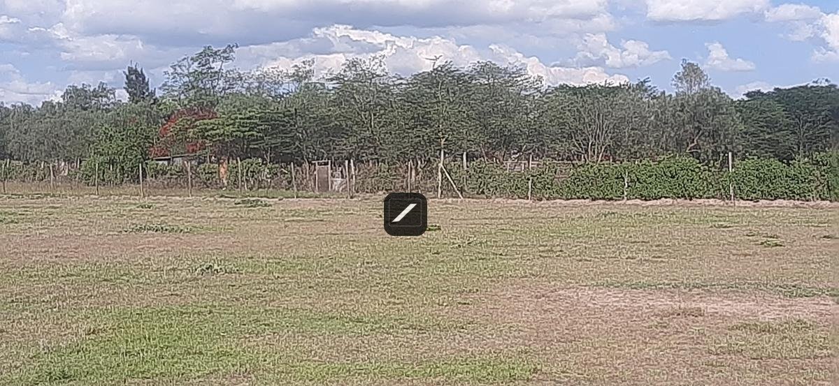 imgi_20_4c29b5d2-2286-4e6a-9b99-caff2a957383