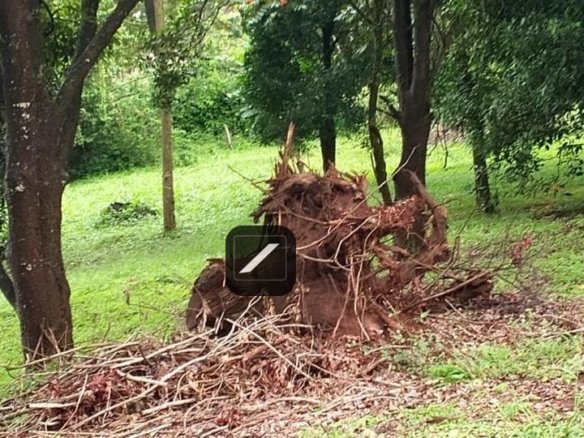 Imgi 20 b1559060 eb37 4fa3 b6de 9d2b77512ea8