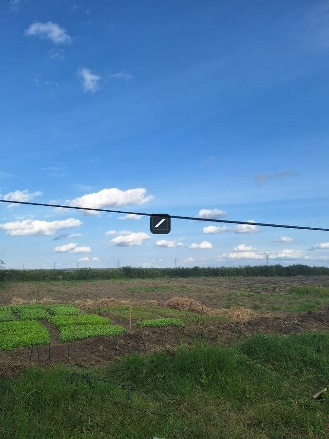 imgi_20_eaf0666e-2a1b-4b5e-a99d-878ff9e6ff95