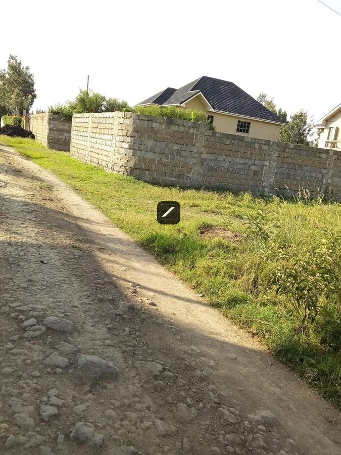 imgi_20_f7adb02d-e101-4628-a826-575aa710025d