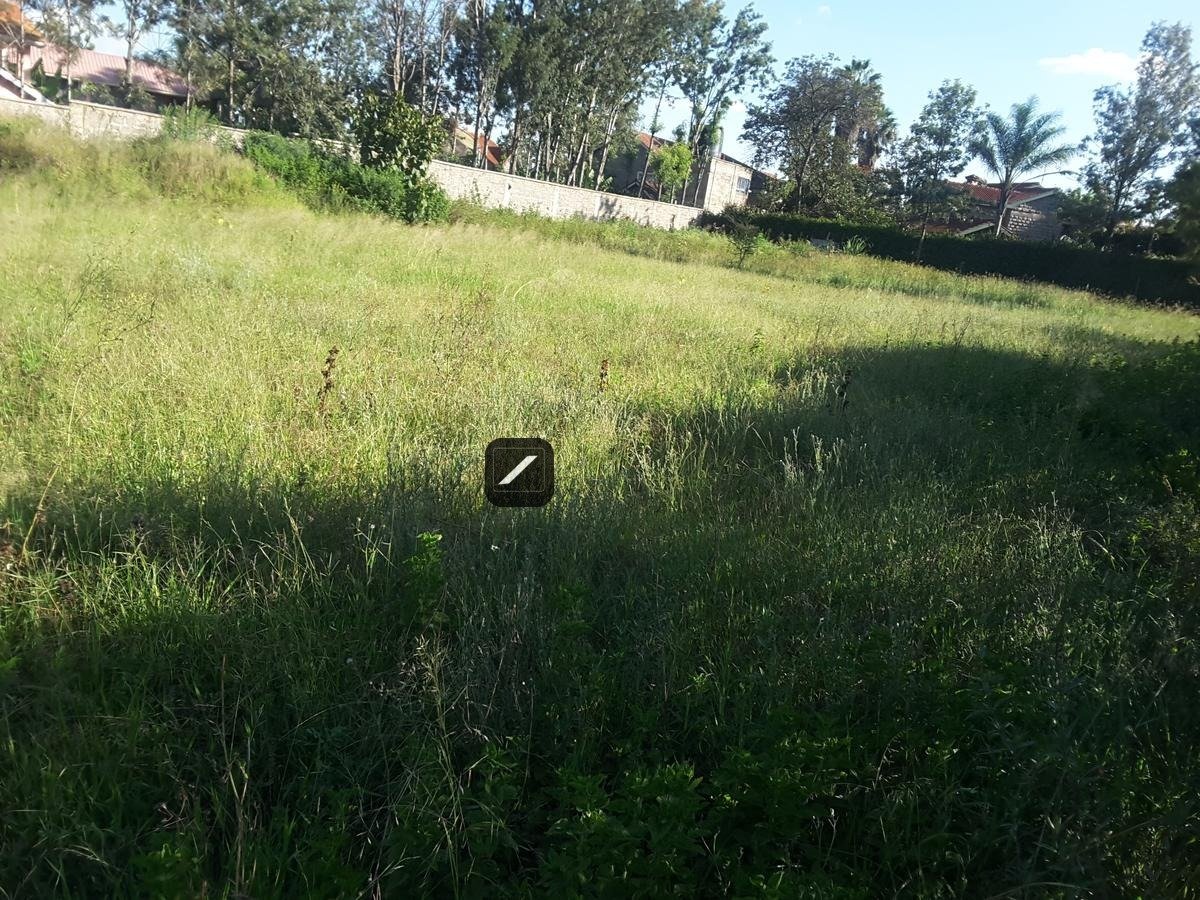 imgi_20_fb771910-b919-446a-9b85-b404841e16af