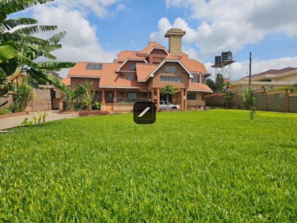 Imgi 21 32e3dec7 5dc2 45c1 a49a 2bfb00904073