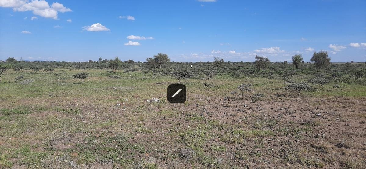 imgi_21_c7d494d5-cc6f-4ea4-bccf-994a30e0a23a