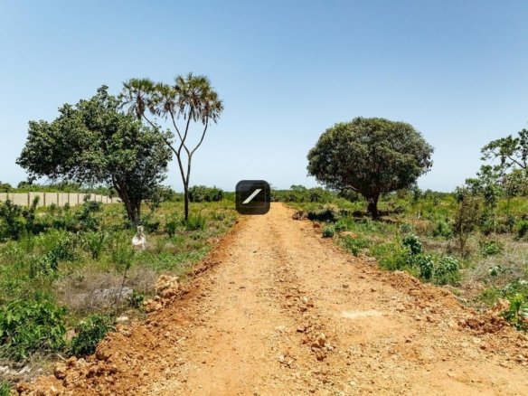 Imgi 22 2be7c6c4 50ba 41c0 ba03 cee96d570ad2