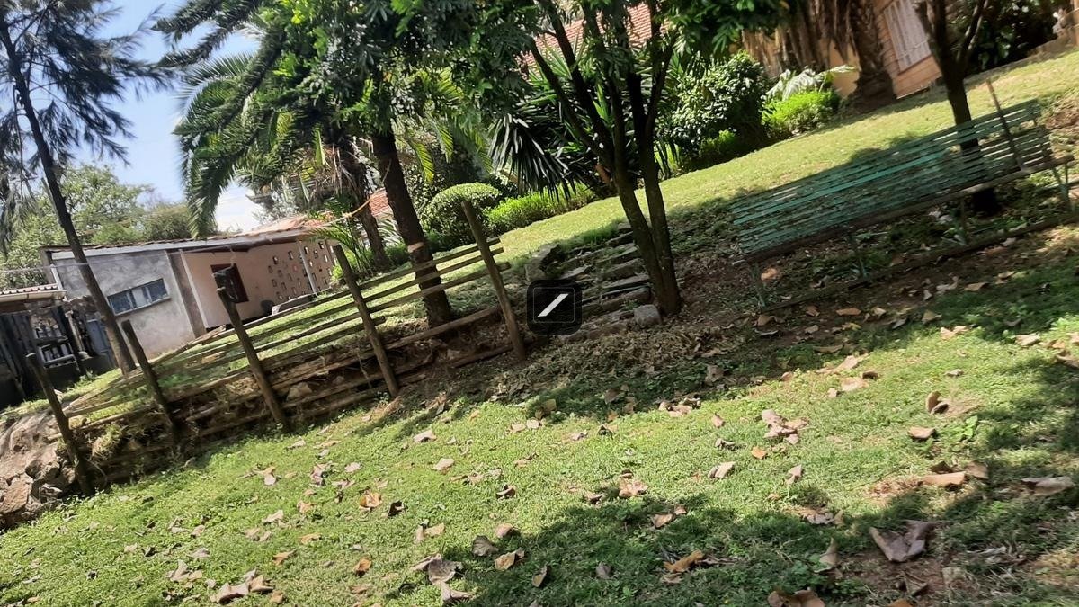 imgi_22_2e3badc2-17fc-4f0e-a340-a7a86d380d75