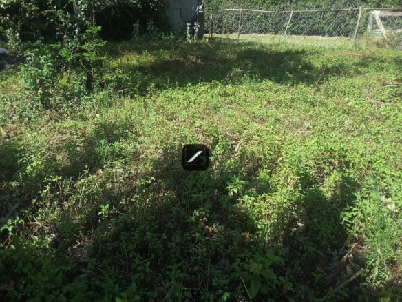 Imgi 22 44b7f37a f1fb 494c 9c84 fa75949e8ef0