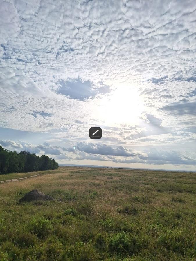 imgi_22_8bcf9f79-f7b2-4980-a38e-6491c2e2a73d