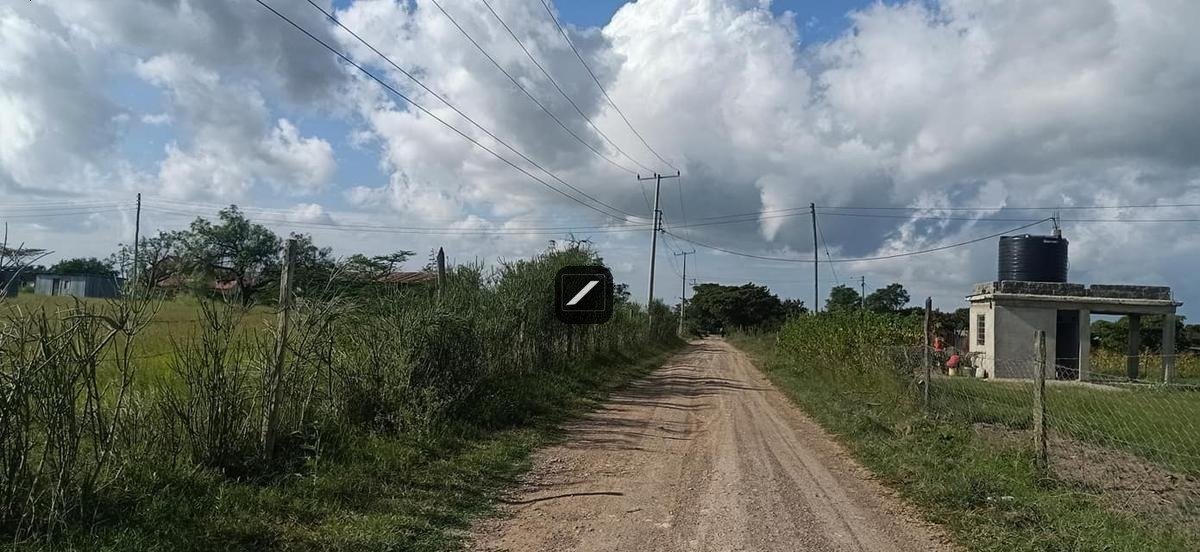 imgi_22_8ca5d510-0820-4e2c-b721-42dbe6e24128