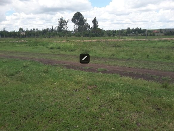 Imgi 22 8e76a12b e2bf 425a 86cf 886d6648b824