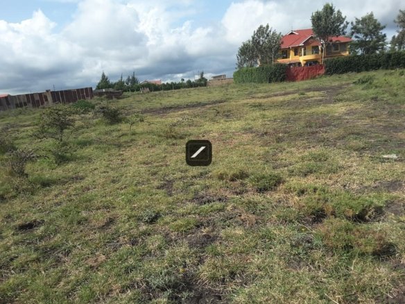 Imgi 22 a4d1ac49 f992 4b93 9c8b 234fa3aaf312