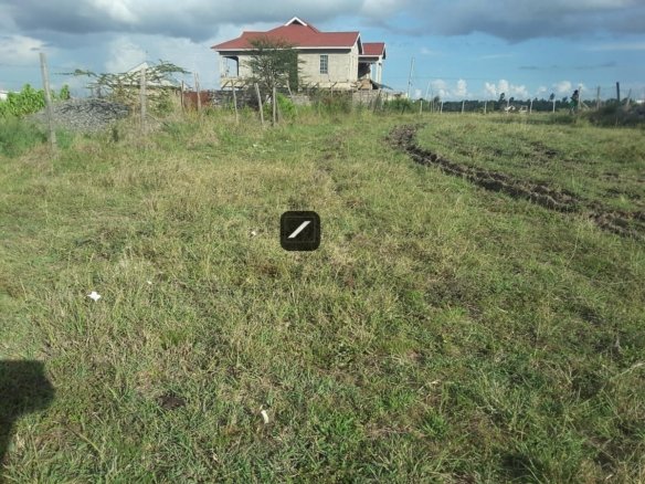 Imgi 23 1f7abaa8 79de 4c6c b7a1 53d6f19edffc