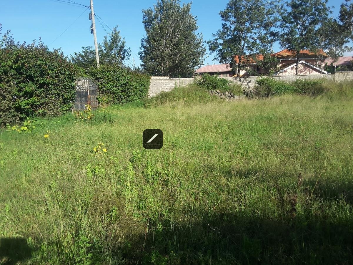 imgi_23_22027f60-7c10-492f-b4c4-36211f9b415e