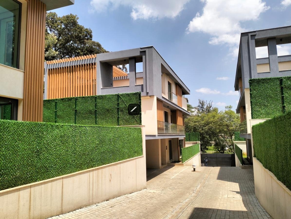 imgi_23_2b40c954-ac87-4dbb-a6af-d9f4fb170469