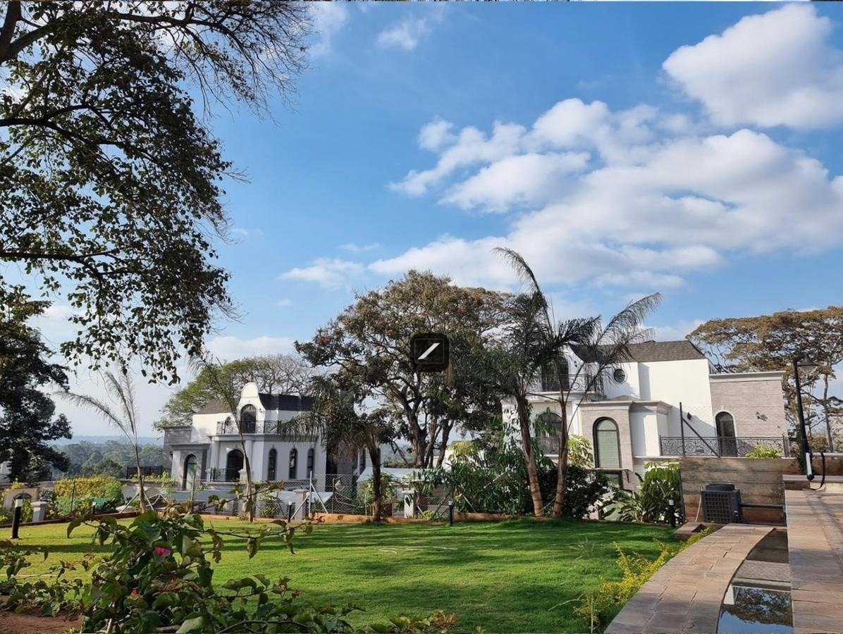 imgi_23_3a5341d2-3d49-4ebb-bc0c-c9fd94288662