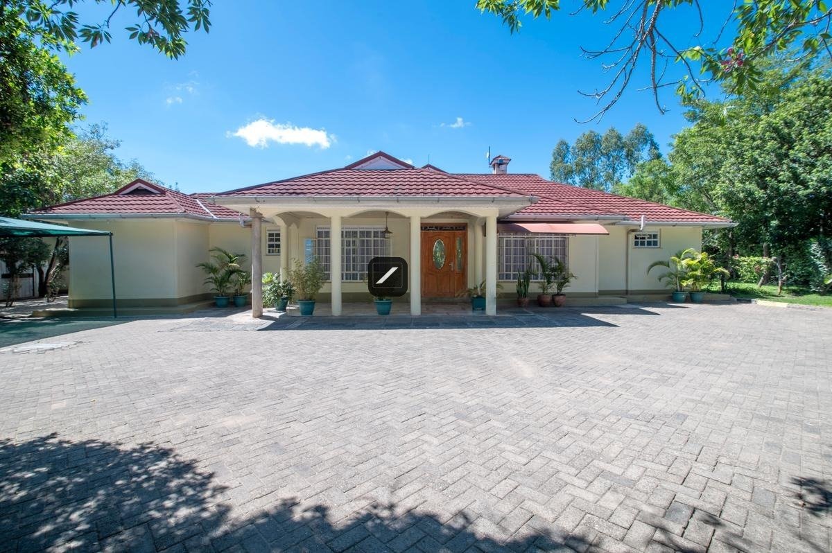 imgi_23_bf1ca887-d612-4c5b-bb15-e971abee216e