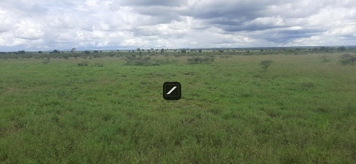 imgi_23_f7b21060-5f96-4b85-93d9-d1f31bf753d3