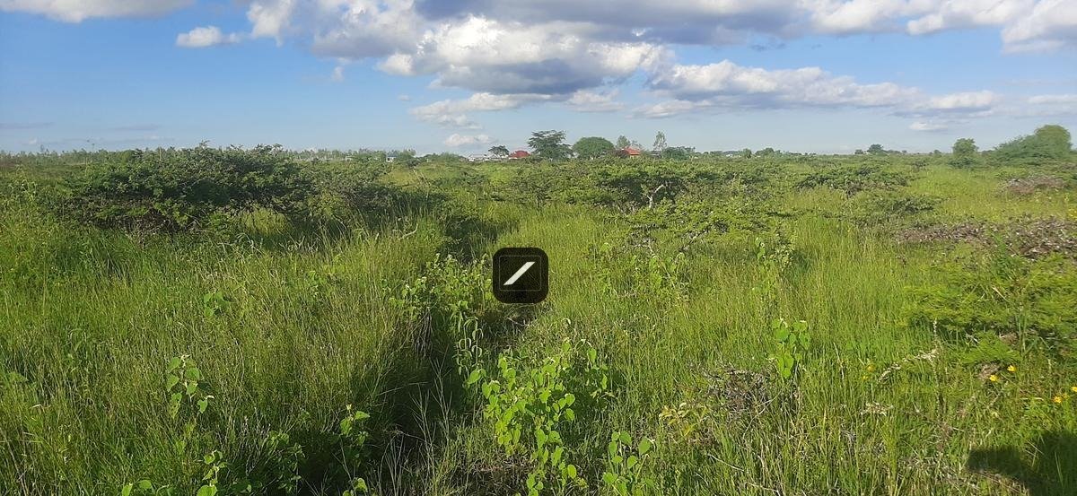 imgi_24_5345fc40-6c8f-439e-b3b0-de422a489a3a