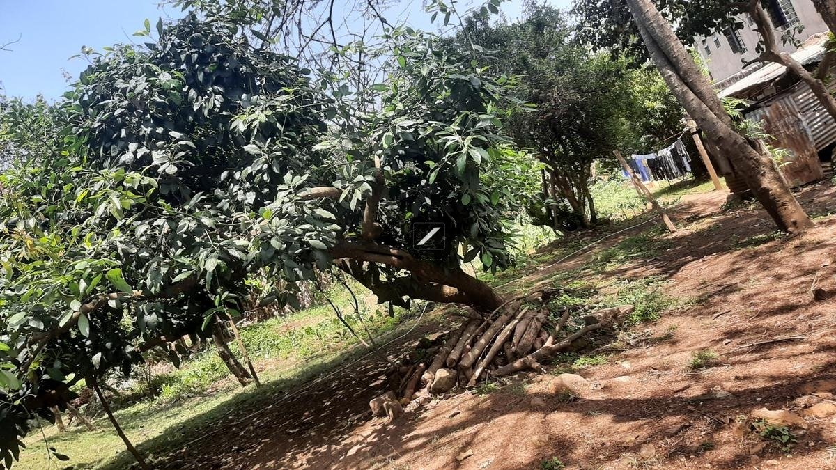 imgi_24_61def9c6-f526-422e-bb6d-347ff27a59a2