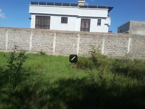 Imgi 24 94eb0ea3 49e3 43f8 ae93 bcb7040ec4af