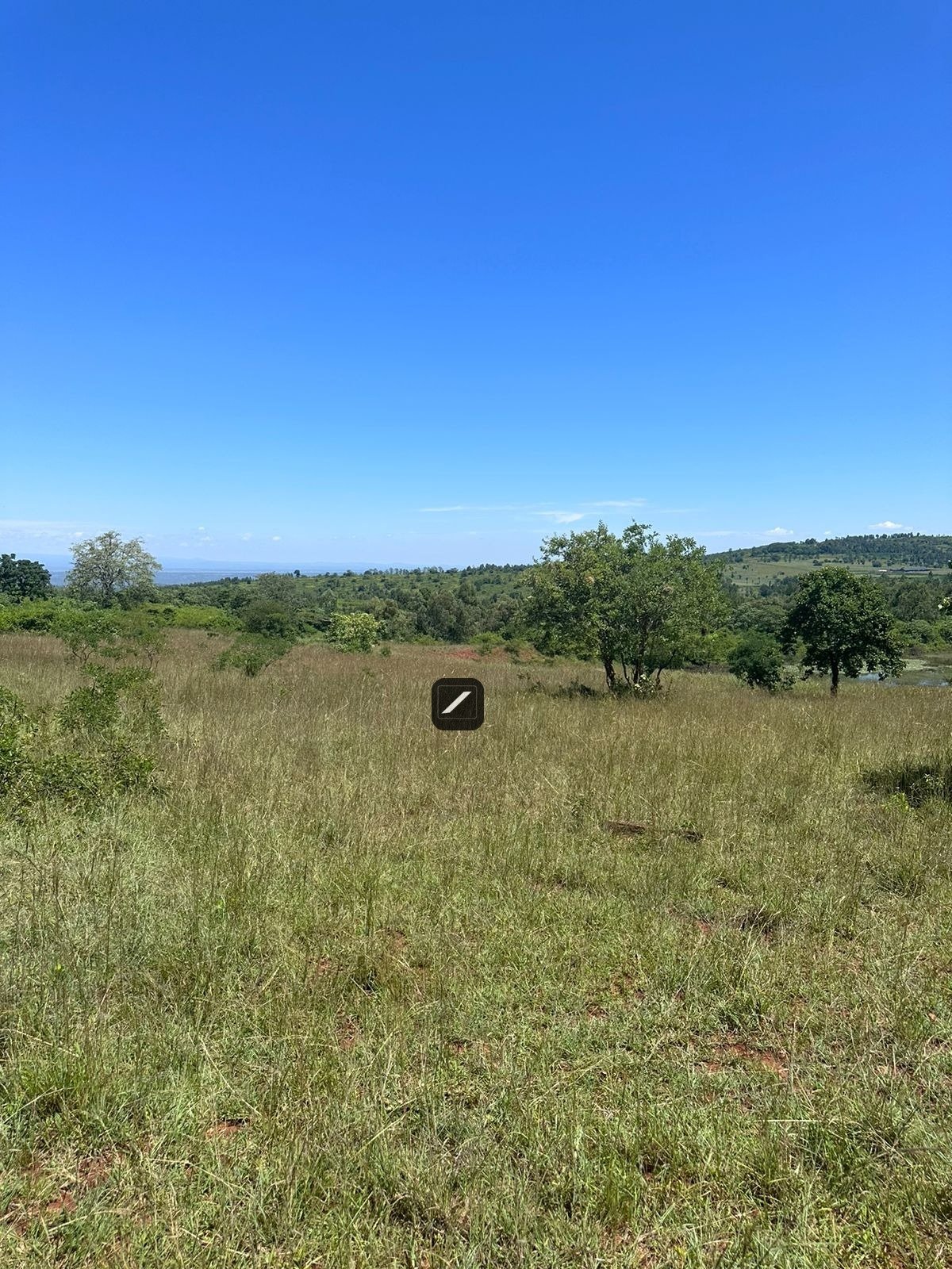 imgi_24_WhatsApp-Image-2024-02-15-at-10.47.55