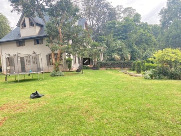 Imgi 24 b273afd4 bc83 4284 9d57 c44870941b59