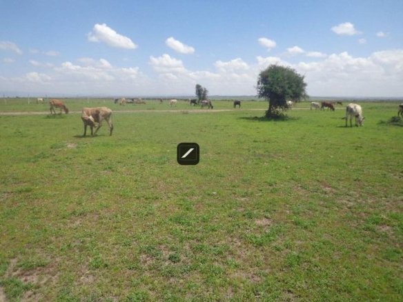 Imgi 25 16354efc cdc6 4c4c a15d ba675d6caa03