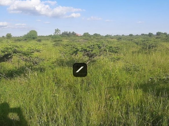 Imgi 25 6a39a845 6edd 46b4 8623 2ca2a18ec711