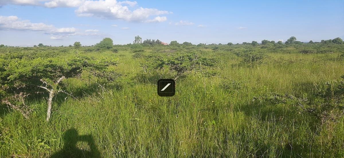 imgi_25_6a39a845-6edd-46b4-8623-2ca2a18ec711