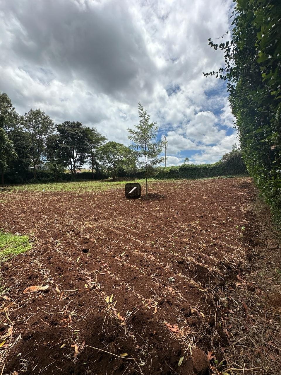 imgi_25_WhatsApp-Image-2024-03-14-at-15.13.14