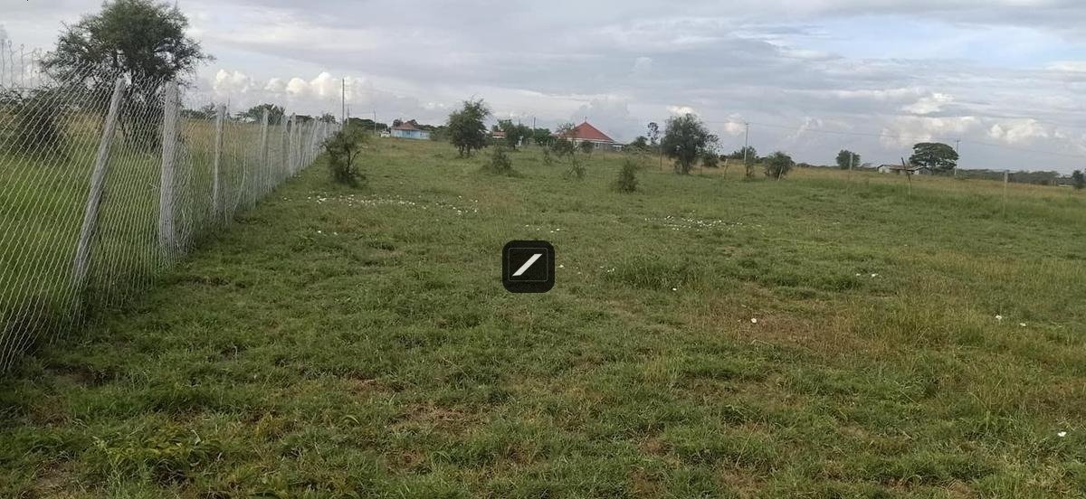 imgi_26_1ae74b66-e1d7-45f9-8050-6577da0a1841