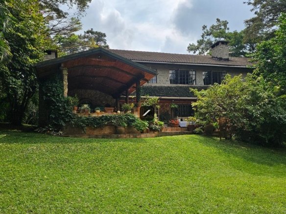 Imgi 26 9135dae7 ed8a 4aeb 98a0 7d14dab630cb