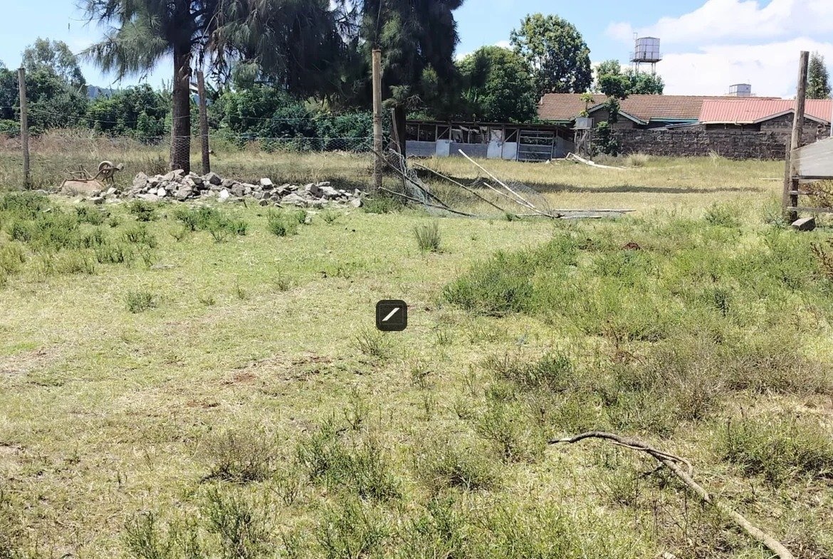 imgi_26_WhatsApp-Image-2023-10-19-at-11.37.12-1-1170×785