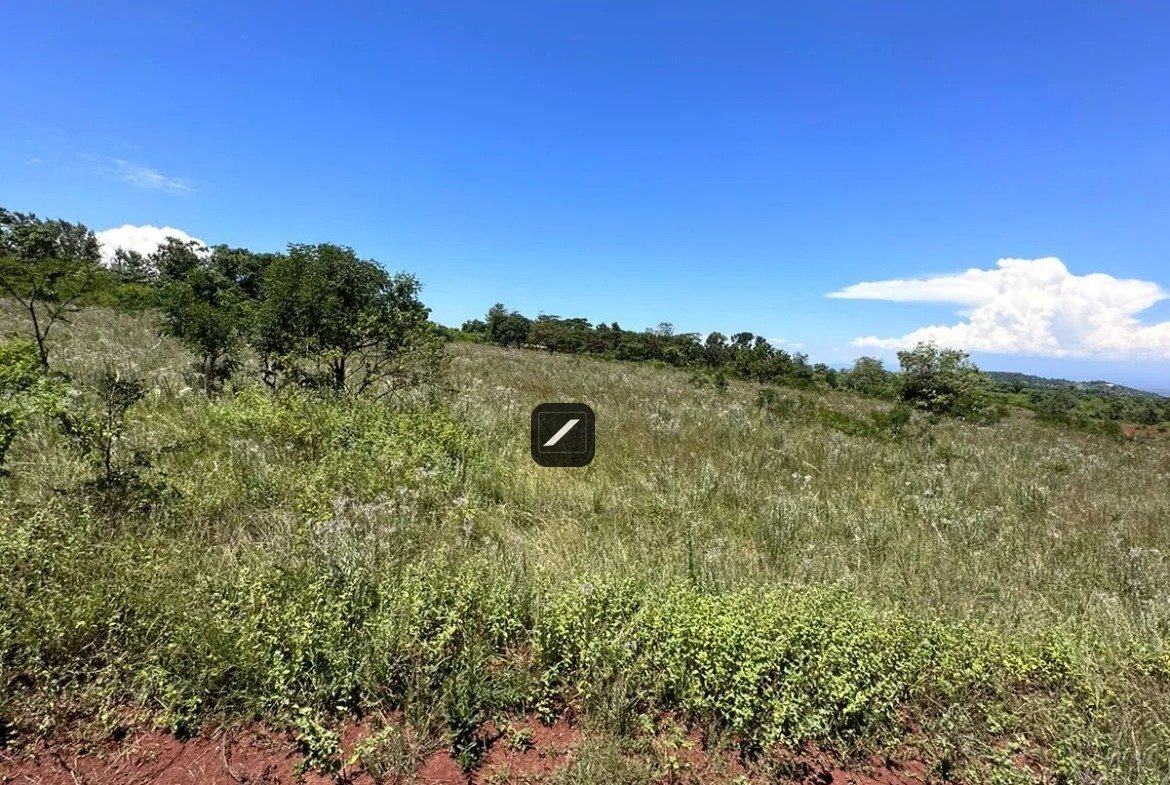 imgi_26_WhatsApp-Image-2024-02-15-at-10.47.54-1170×785